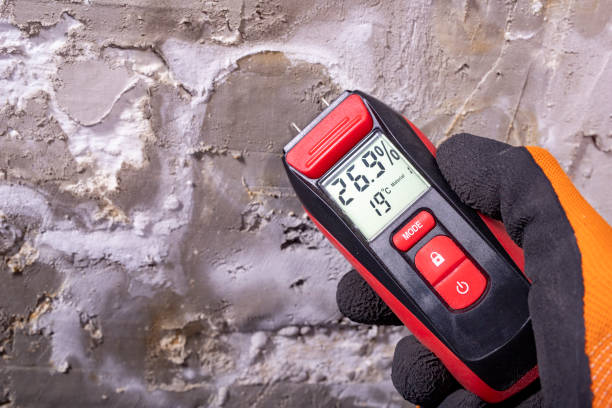 Best Crawl Space Mold Remediation in Waller, TX